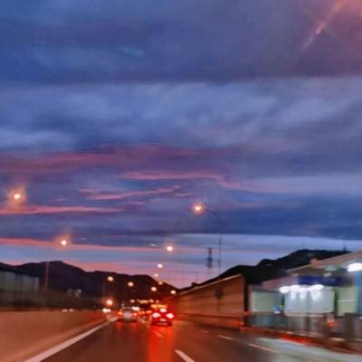 疯狂跑酷动物园破解版下载